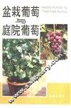盆栽葡萄与庭院葡萄 封面