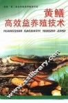 黄鳝高效益养殖技术 封面