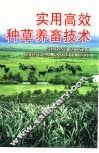 实用高效种草养畜技术 封面