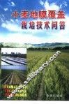 小麦地膜覆盖栽培技术问答 封面