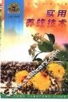 实用养蜂技术 封面