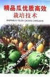 精品瓜优质高效栽培技术 封面