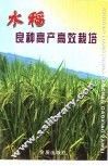 水稻良种高产高效栽培 封面