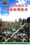 棉花病虫害防治实用技术 封面