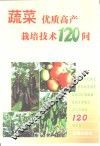 蔬菜优质高产栽培技术120问 封面