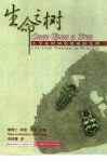 生命之树  生活在树梢到根端的生命 封面