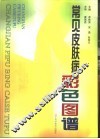 常见皮肤病彩色图谱 封面
