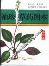 袖珍草药图本 封面