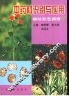 中药材识别与应用  袖珍彩色图册  2 封面