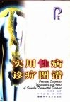 实用性病诊疗图谱 封面