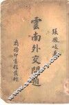 云南外交问题 封面