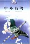 中外名鸽 封面