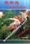 热带鱼养殖与观赏 封面