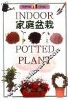 家庭盆栽 封面
