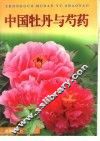 中国牡丹与芍药 封面