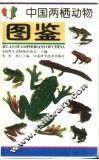 中国两栖动物图鉴 封面