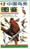 中国鸟类图鉴 封面