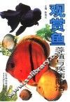 观赏鱼养殖与疾病防治 封面