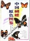 中国蝴蝶原色图鉴 封面