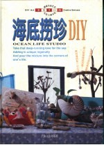海底捞珍DIY 封面
