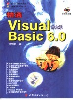 精通Visual Basic  第13章  滚动条 封面