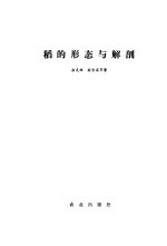 稻的形态与解剖 封面