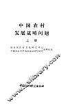 中国农村发展战略问题 封面