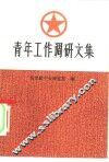 青年工作调研文集 封面