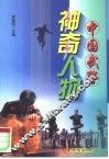 中国武警神奇人物 封面