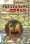 中国农村贫困问题研究  症结与出路 封面