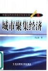 城市聚焦经济  一般理论及其对中国城市化问题的应用分析 封面