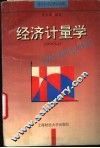 经济计量学 封面