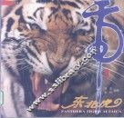 东北虎  上 封面