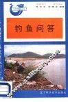 钓鱼问答 封面