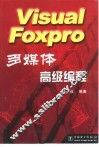 Visual Foxpro多媒体高级编程 封面