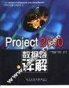 Project 2000数据域详解 封面