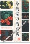 草药偏方治百病 封面