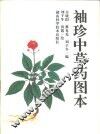 袖珍中草药图本 封面