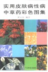 实用皮肤病性病中草药彩色图集 封面