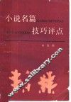 小说名篇技巧评点 封面