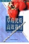 草莓优质高效栽培 封面