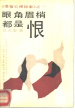 眼角眉梢都是恨 封面