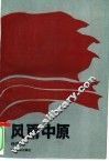 风雨中原 封面