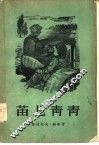 苗儿青青 封面