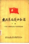 执行总路线的红旗  下  先进小组和先进生产者事迹选编 封面