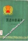 跃进中的赫章 封面