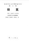 群鼠 封面