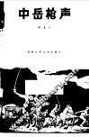 中岳枪声 封面