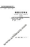 俄国文艺学史 封面
