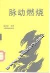 脉动燃烧 封面